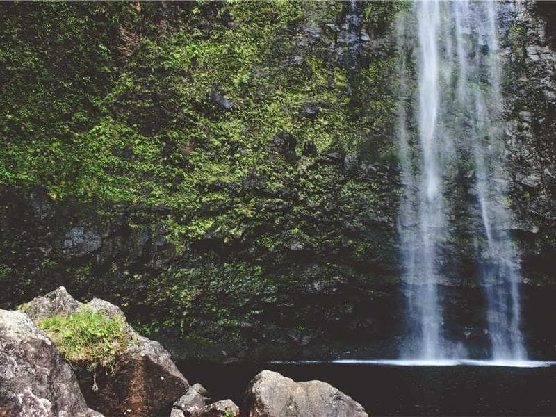 Image Campagne de sensibilisation à la santé maternelle.