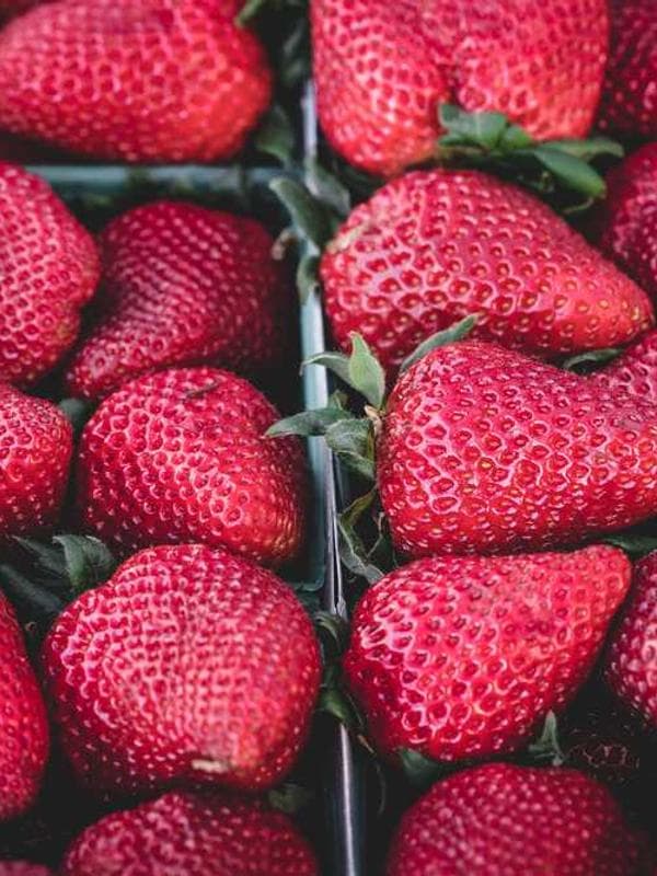 Image Programme de microcrédit pour les femmes entrepreneures.