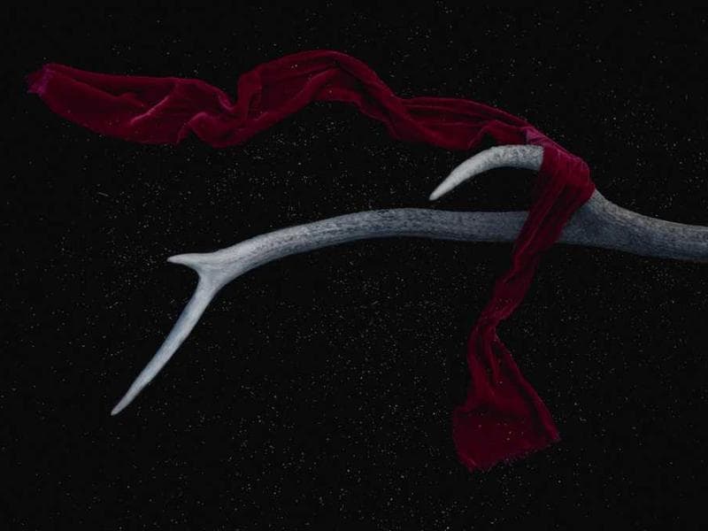 Image Atelier de couture pour l'autonomisation économique.